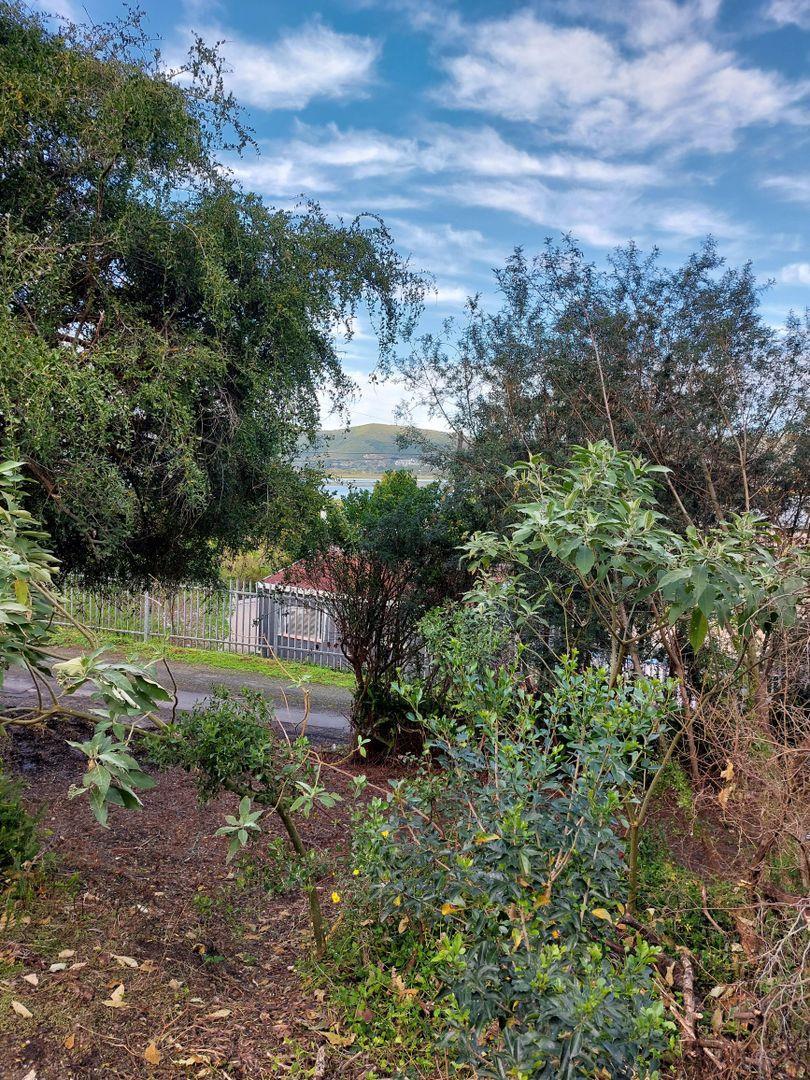 0 Bedroom Property for Sale in Paradise Western Cape